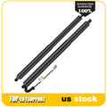 2X Lift Supports for Ford Edge (2015–2018) Gas Struts Liftgate