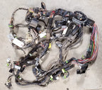Dash Wire Harness for 1989 Thunderbird (1989) - Auto Headlights, Analog Climate Control