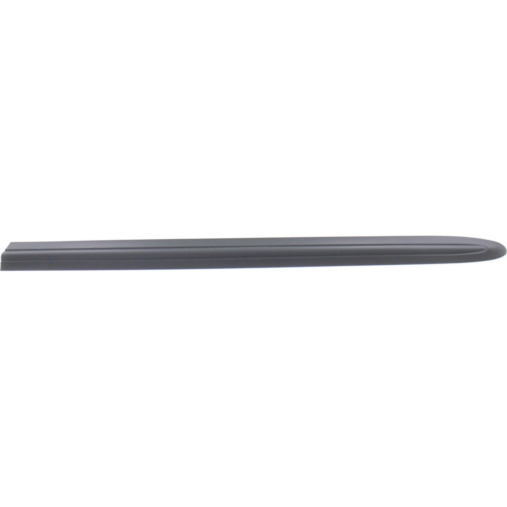 Door Molding and Beltlines for Town and Country (LH)
