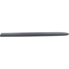 Door Molding and Beltlines for Town and Country (LH)