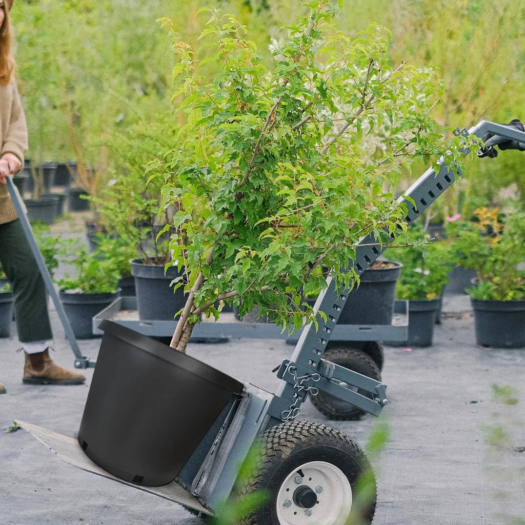 Set of 5 Heavy Duty Plastic Nursery Pots for Plants (1/2/3/5/7/10/15 Gallon)