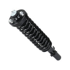 2X Front Complete Struts Shocks with Coil Springs for Honda Accord (1994–1997)