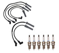 Denso Wire Set & 6 Double Platinum Spark Plugs for 3.3L 3.8L V6 (0.05)