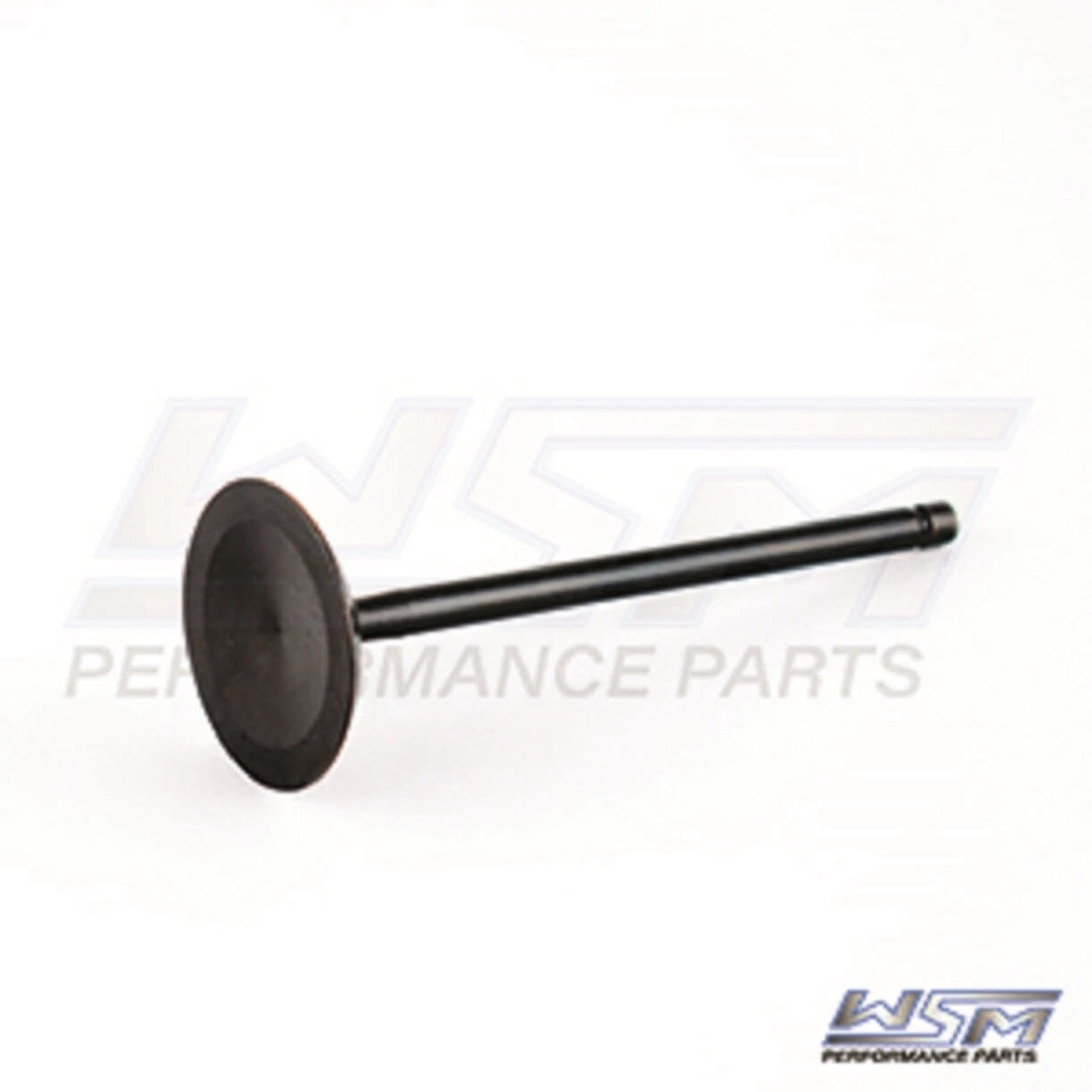 WSM Valve for