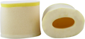 Foam Air Filter for Suzuki (370-06)