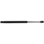 Set of 2 Trunk Lid Lift Supports for Ford