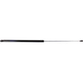Lift Support Set for Toyota Solara (2004–2008) Driver and Passenger Side