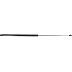 Lift Support Set for Toyota Solara (2004–2008) Driver and Passenger Side