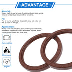 Set of 2 Oil Seal Rotary Shaft Seal FKM Rubber 100x120x12mm