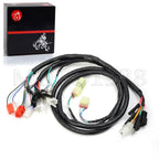 Ignition Coil Plug CDI & Wire Harness for Honda FourTrax TRX300 TRX300FW (1994–1997)