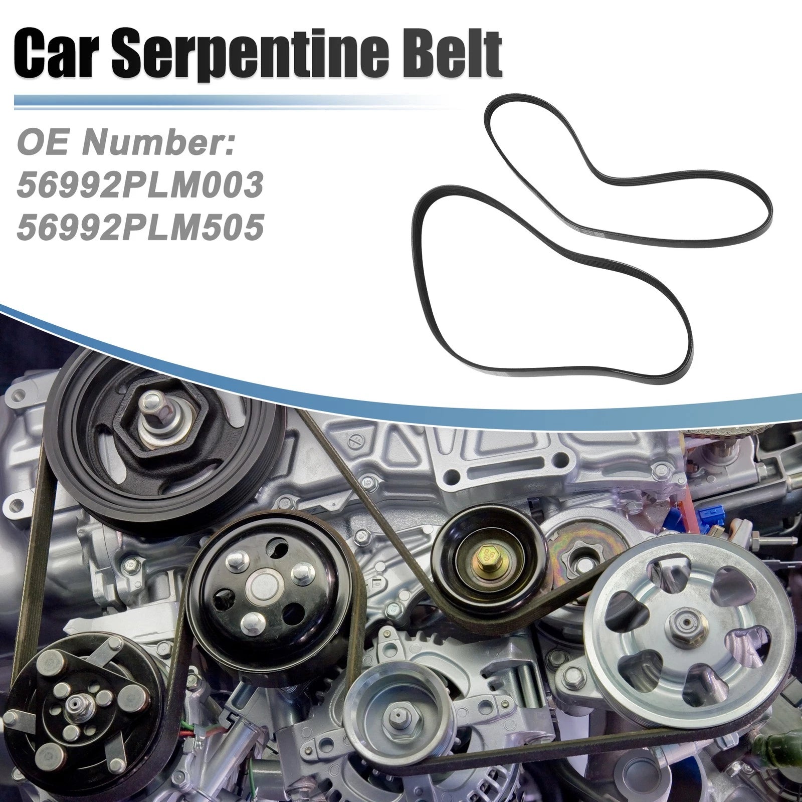 Set of 1 Serpentine Belt for Honda Civic (2001–2005) No. 56992PLM003/56992PLM505