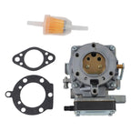 Metal Carburetor Kit for 495181, 499306, 693480 (Compatible Models)