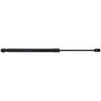 Liftgate Lift Supports for Hyundai Kona (2018–2023)