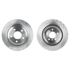 Rear Disc Brake Rotors for BMW X6 (2010–2019)