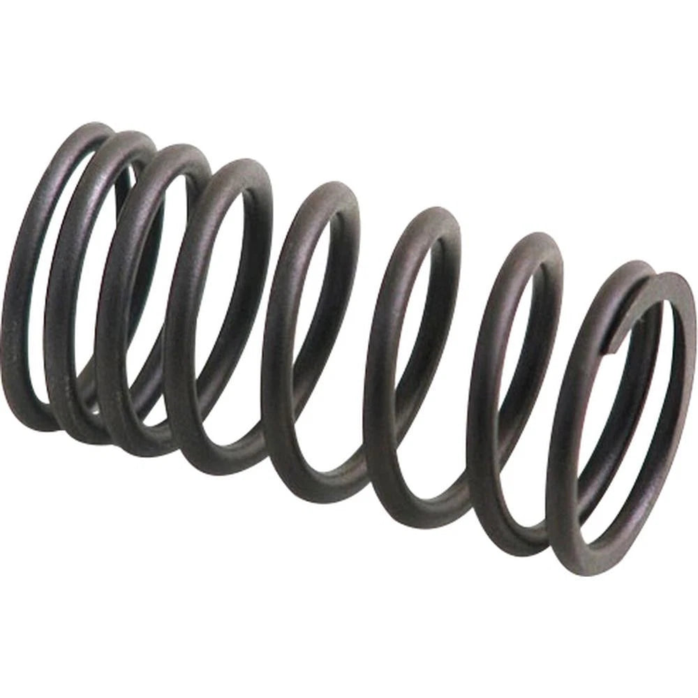 Inner Valve Spring for AM31744131