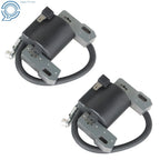 2 Pack Ignition Coil for (Fits 691060, 799651, 499447, 592846, 404577)