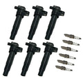 6X Ignition Coils & Iridium Spark Plugs for Hyundai Santa Fe (2013–2018)