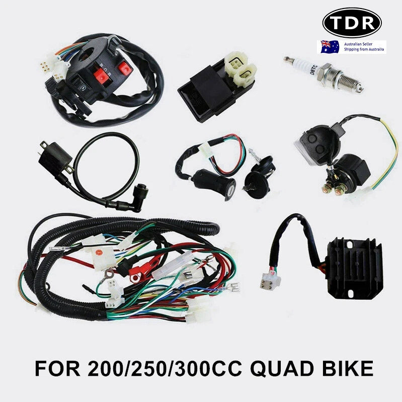 Wiring Harness CDI Coil for 200cc 250cc ATV Quad Bike Buggy Gokart (2000–2023)