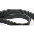 Drive Belt for Ford F-150, E-250 Econoline (2005-2006, 1993-2001)