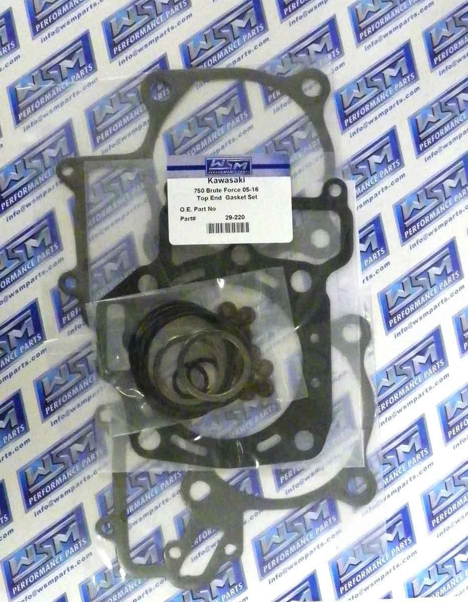 Gasket Kit for WSM