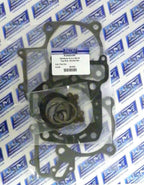 Gasket Kit for WSM