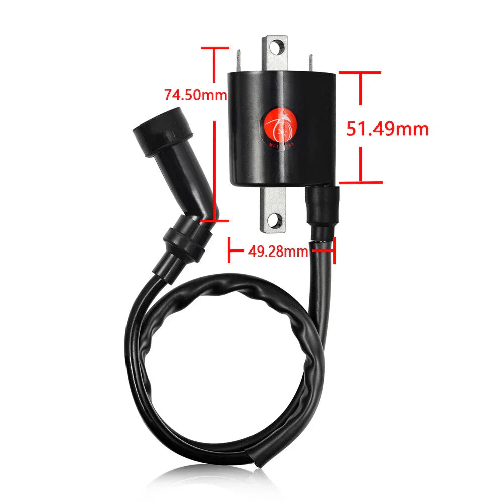 2x Ignition Coil for Yamaha V Star 1100 XVS1100 (1999–2009)