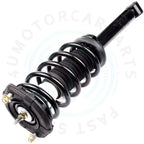 2X Rear Struts with Coil Spring for Nissan Maxima Infiniti I30 I35 (2000–2003)