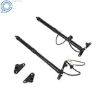 Set of 2 Tailgate Lift Support Struts for Toyota RAV4 (2013–2016)