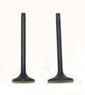 WSM Engine Valve Kit for Honda TRX 250 (1997–2001) - 017-021