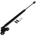 Lift Support for Honda Accord (2003–2007)