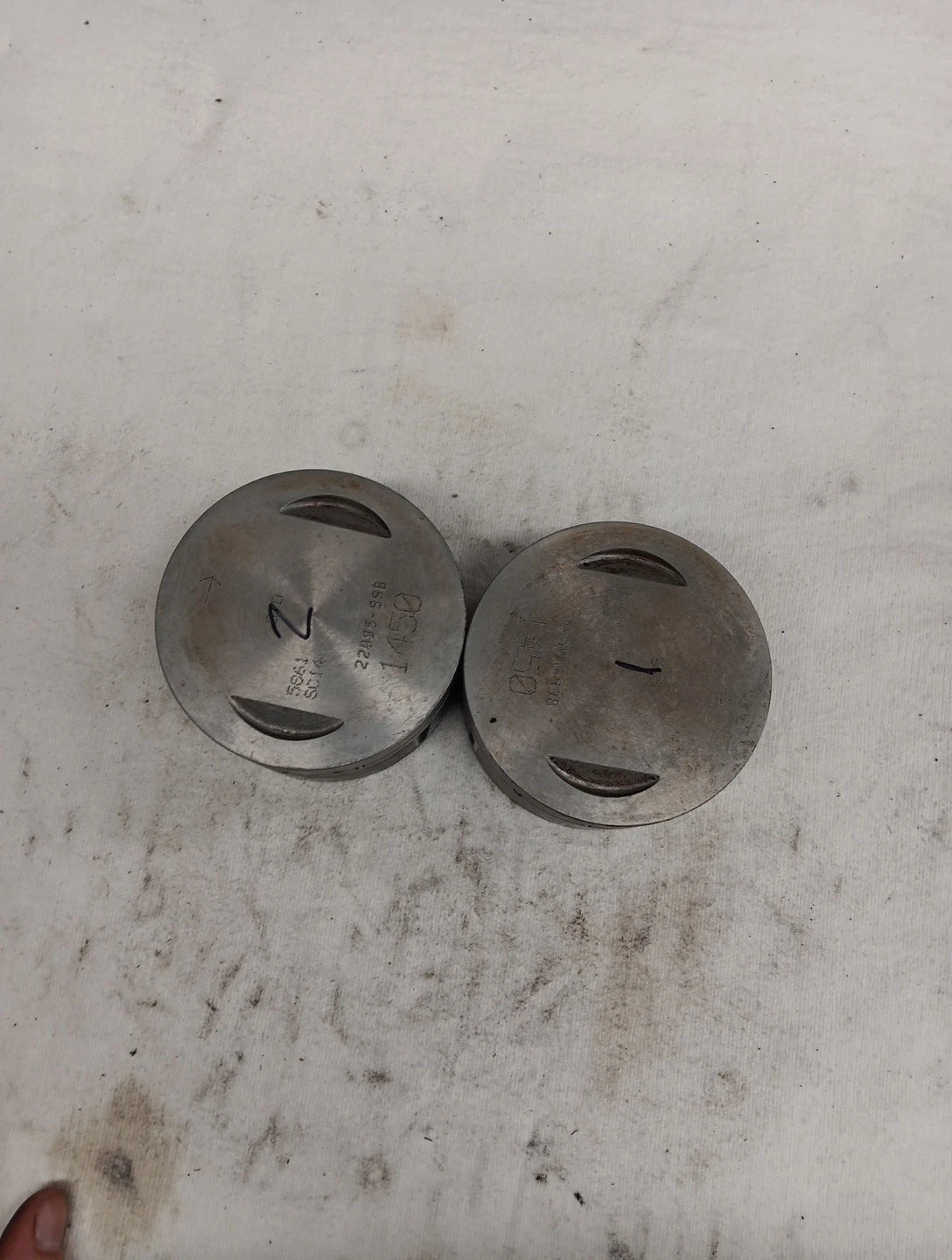 Piston Set with Wrist Pins for Harley Davidson Big Twin (1999) #22095-99B