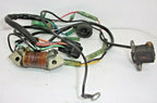 CD Unit Cord Assy for Nissan Tohatsu 8-9.8hp (2003–2005) 3V1061670