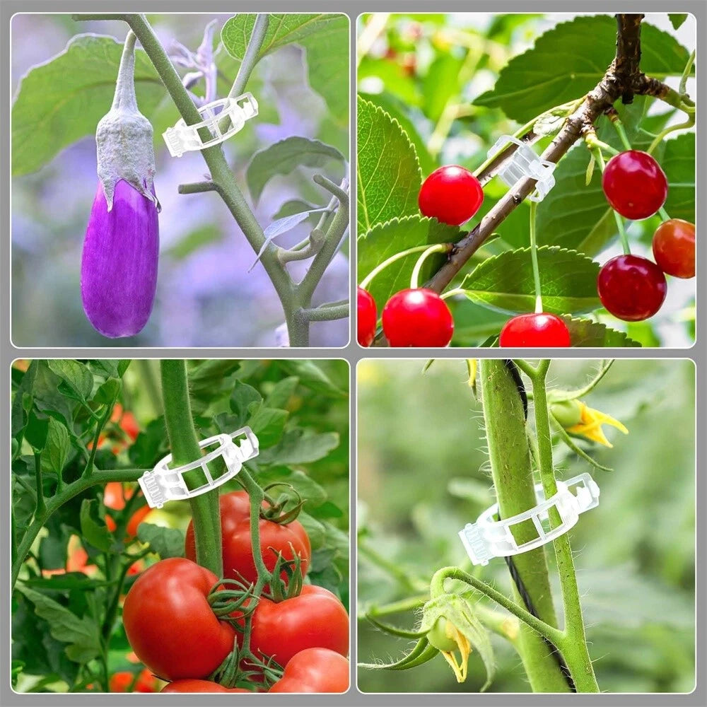 100Pcs Plant Support Clips for Tomato Veggie Garden Trellis