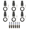 Set of 6 Platinum Spark Plugs & NGK Coil Boots for Sonata Sedona V6 (NA)