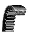 Reverse Belt for A-07224000-AI
