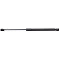 Set of 2 Liftgate Struts for Kia Niro
