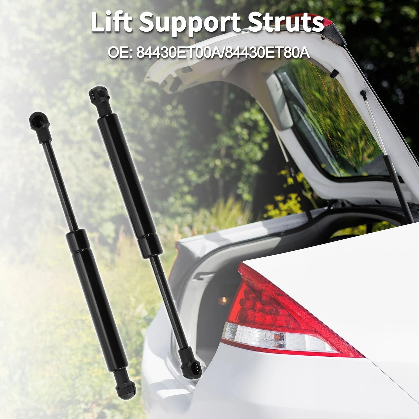 Rear Hatch Lift Supports Struts No. 84430ET00A/84430ET80A for Nissan Sentra (2013–2019)