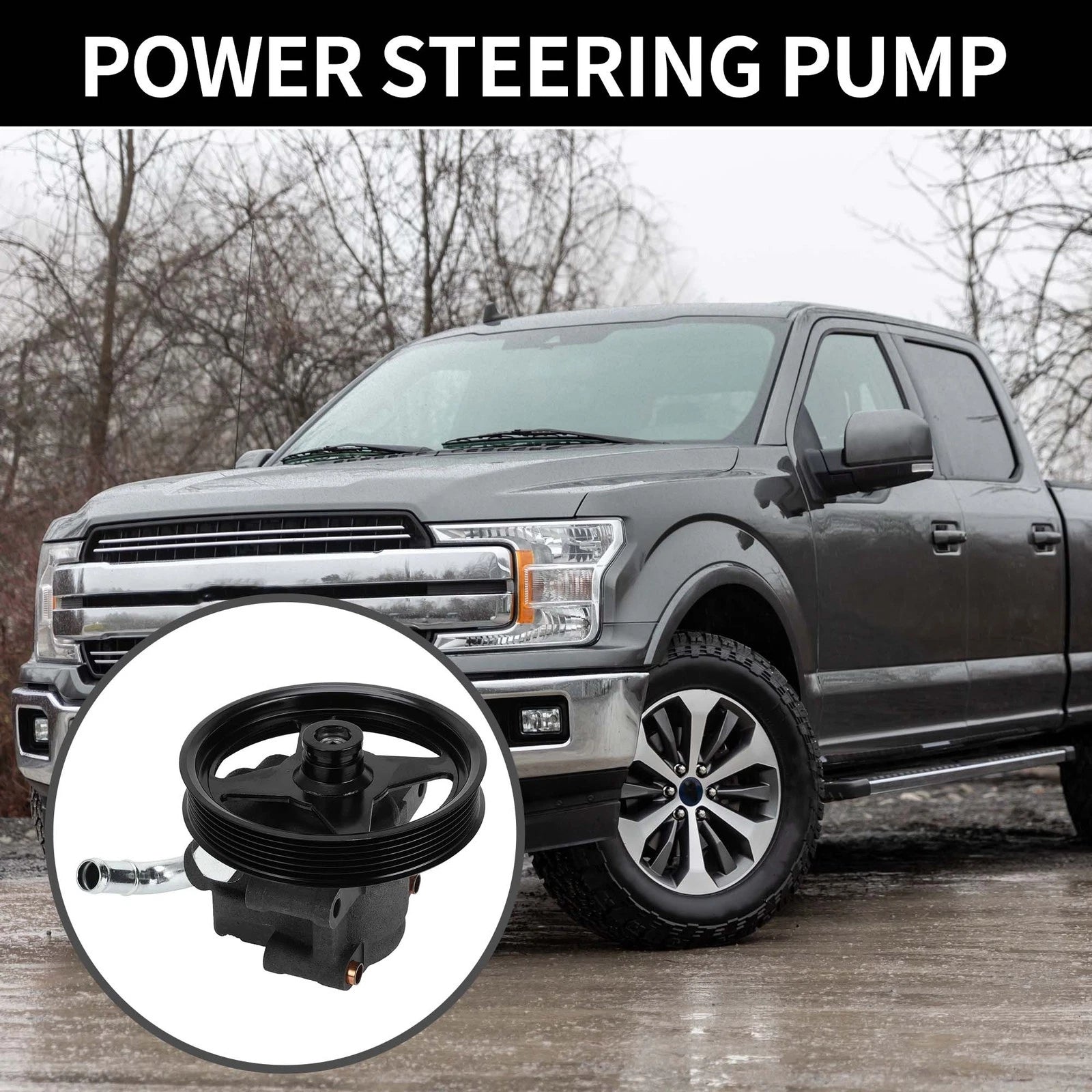 Power Steering Pump with Pulley for Ford Expedition (2001–2002) DAY20282