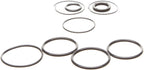Trim & Tilt Cylinder Repair Seal Kit for OMC Sterndrive (0985060, 3854247)
