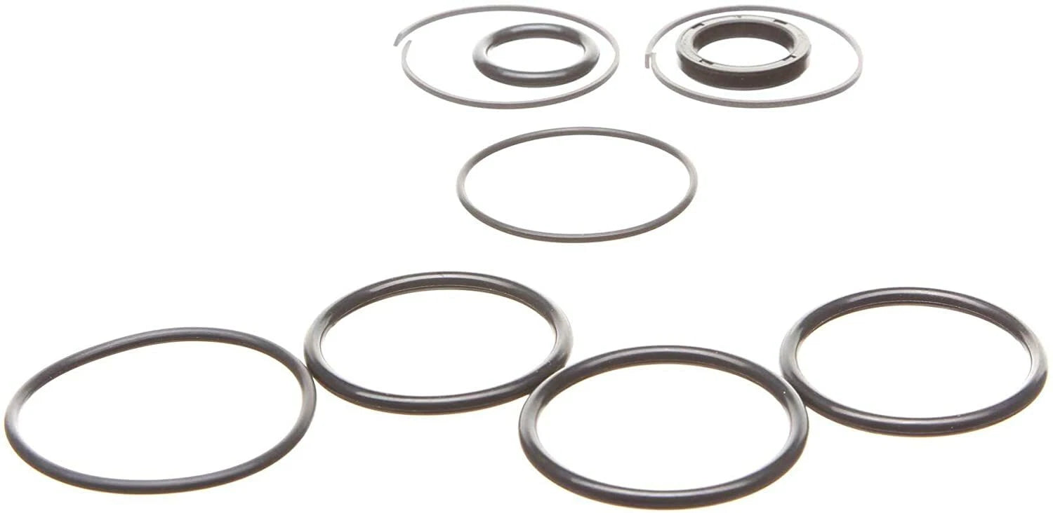 Trim & Tilt Cylinder Repair Seal Kit for OMC Sterndrive (0985060, 3854247)