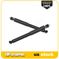 2 Shocks Struts for Ford Mustang (2005–2010)