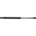 Lift Support for BMW 325i (2001–2005) Hood Left or Right