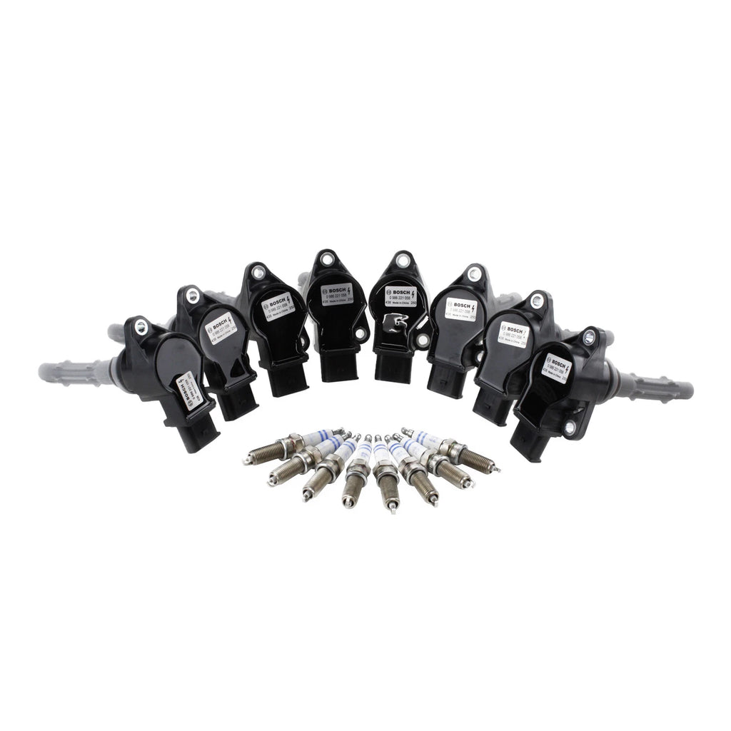 Set of 8 Ignition Coils & 8 Platinum Spark Plugs for Mercedes C216 W221