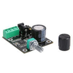 Digital Dual Channel Amplifier Board for 12V Power Supply (2010–2023)