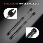 Pair Front Hood Lift Supports for Dodge Challenger (2009–2014) 6303