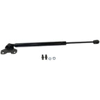 Hood Lift Supports Set of 2 for Honda Accord