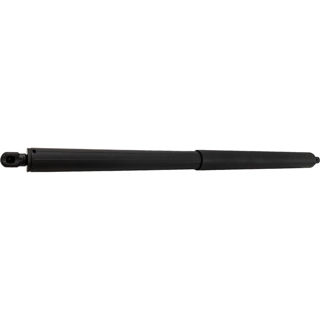 Lift Supports for Hatchback (Driver or Passenger Side)