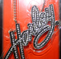 Harley Davidson Motorcycle Logo Ornament Necklace Rear View Mirror Emblem