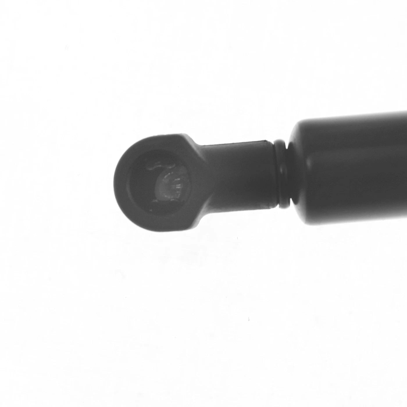 Lift Support for Lexus GS350 (2007–2011) Driver and Passenger Side