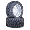 Set of 2 Golf Cart Tires 20x10-12 w/4x4" ET-25.4 Silver Wheel 14055